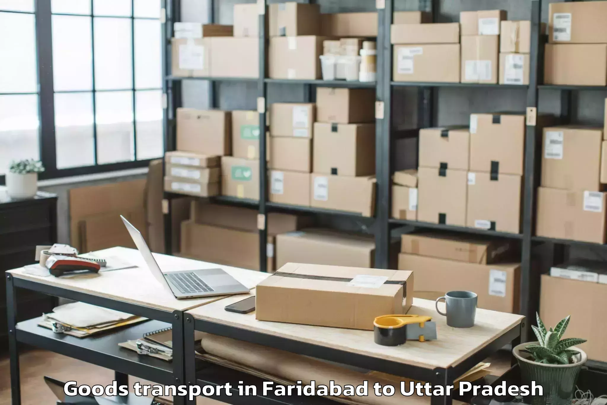 Trusted Faridabad to Muzaffarnagar Airport Mza Goods Transport